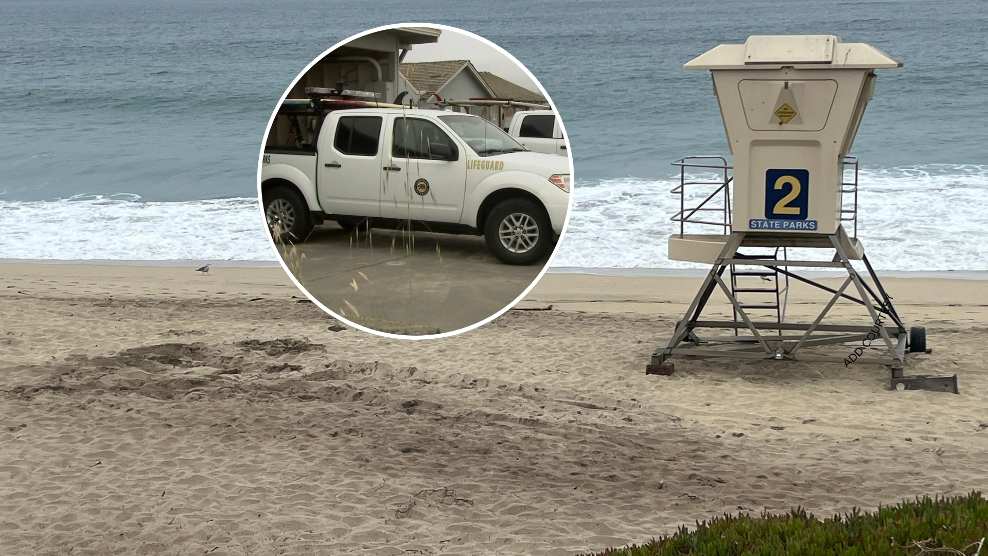 Possibly distracted lifeguard in truck ran over woman lying on Half Moon Bay beach