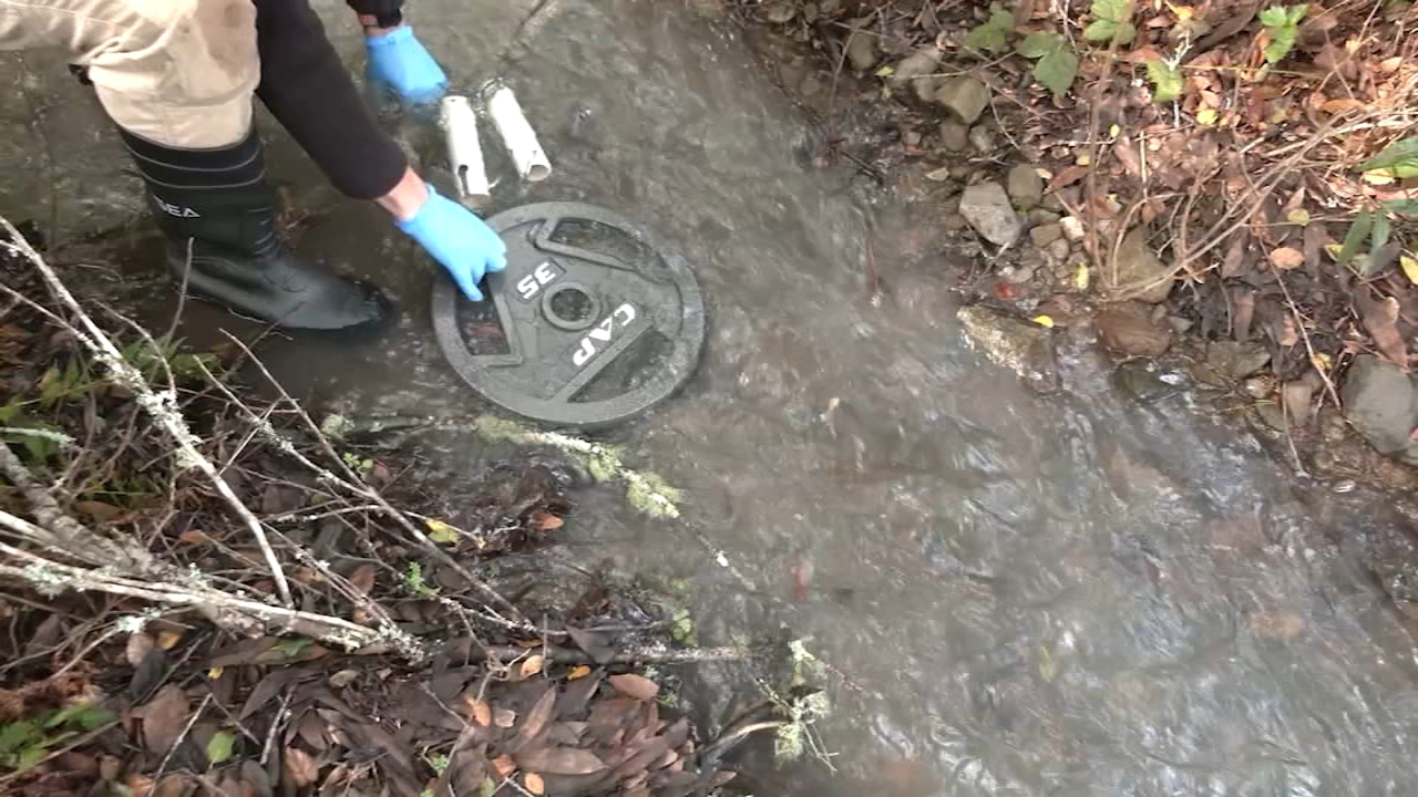 San Francisco scientists testing water samples to find invisible microplastic particles