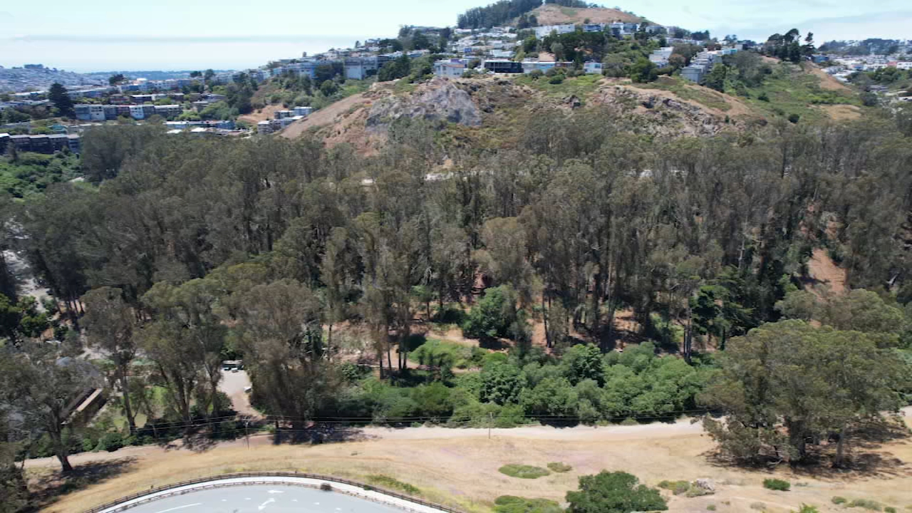 Civil grand jury report warns of wildfire risk at SF's Glen Canyon Park