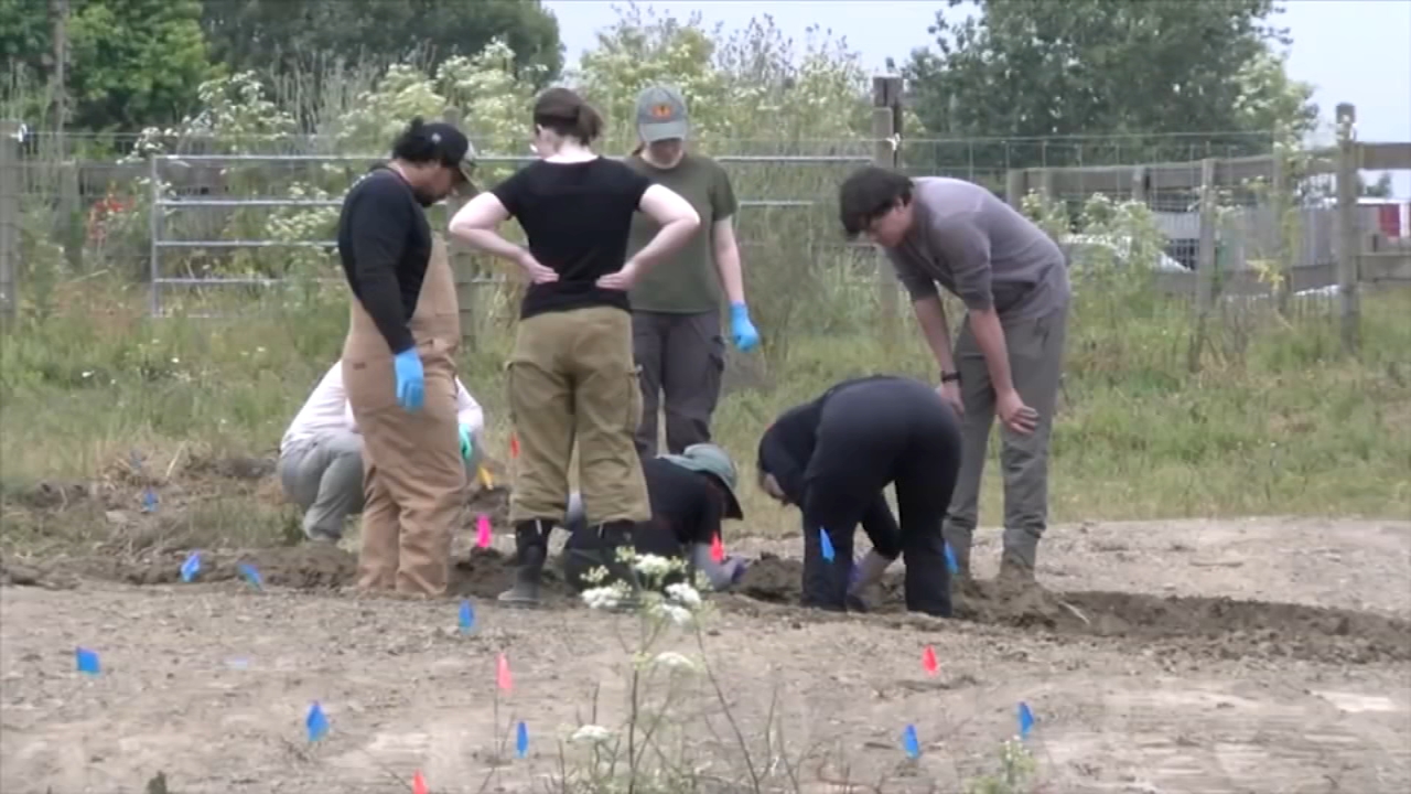 700+ dogs missing: Excavations at NorCal animal rescue reveal mass graves, decomposing animals