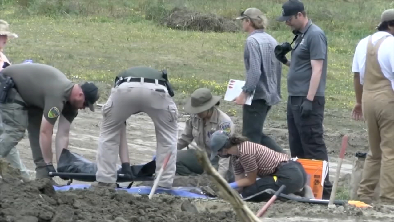 Authorities say 117 dogs found dead at NorCal 'no-kill' rescue were buried in matter of months