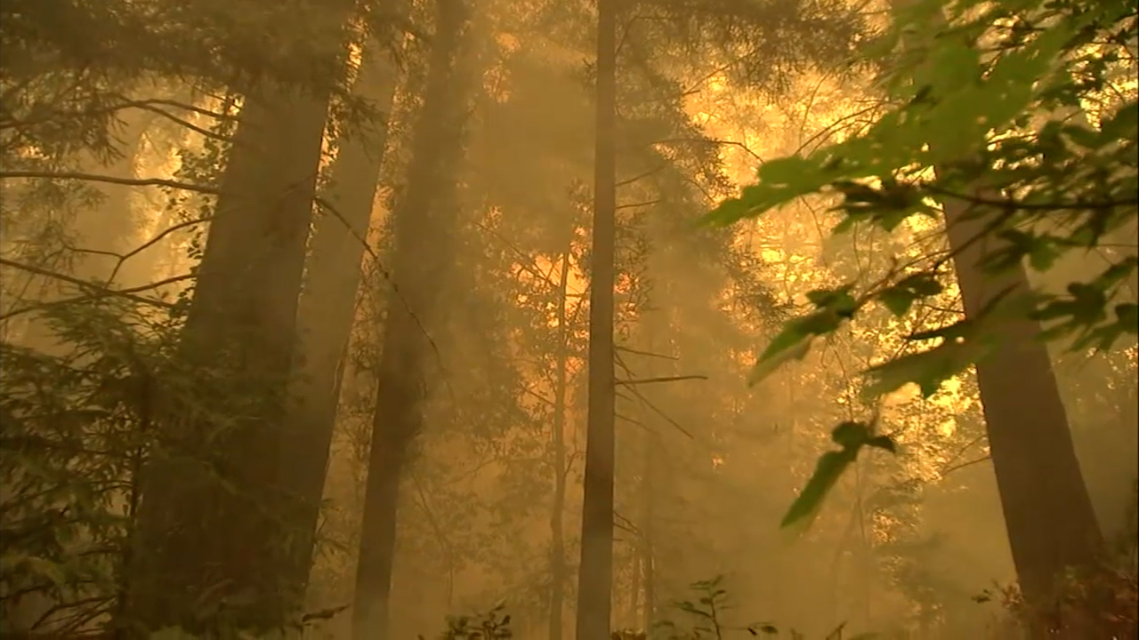 Wildfire risk drives 84% spike in California home insurance costs in 5 years, Stanford finds