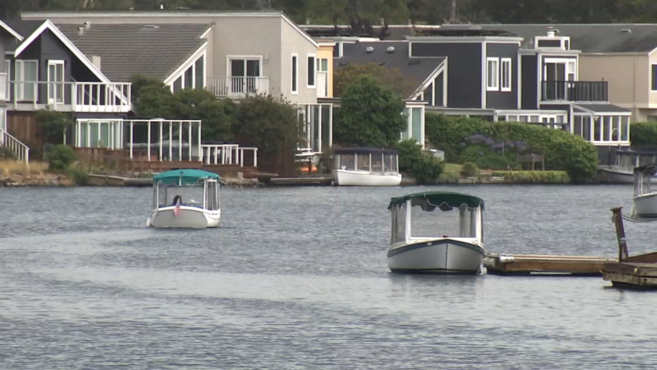 Swimmer mysteriously bitten by 'marine animal' in Foster City Lagoon