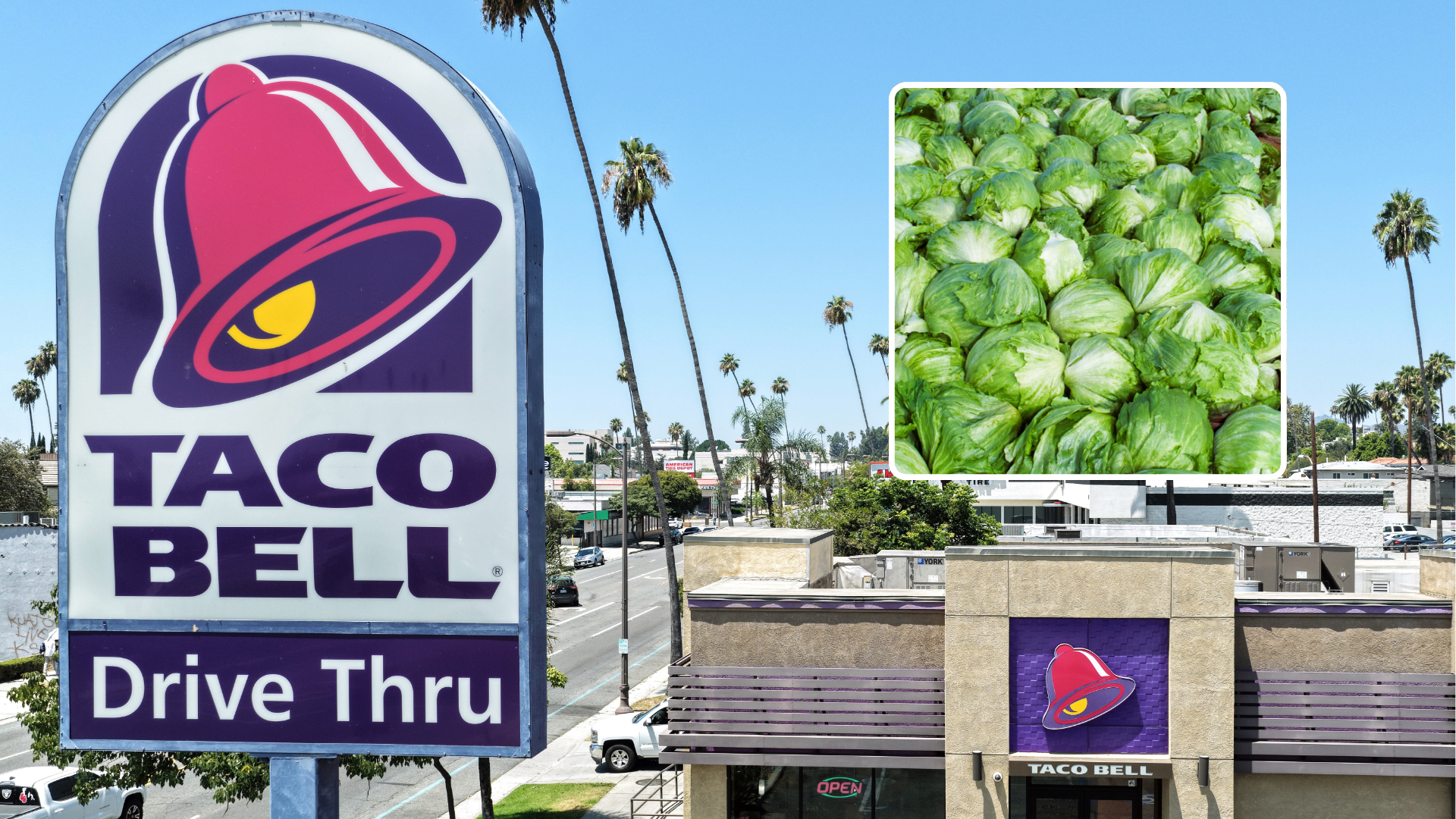 Cyclosporiasis outbreak linked to shredded lettuce served at some Taco Bell locations: Source