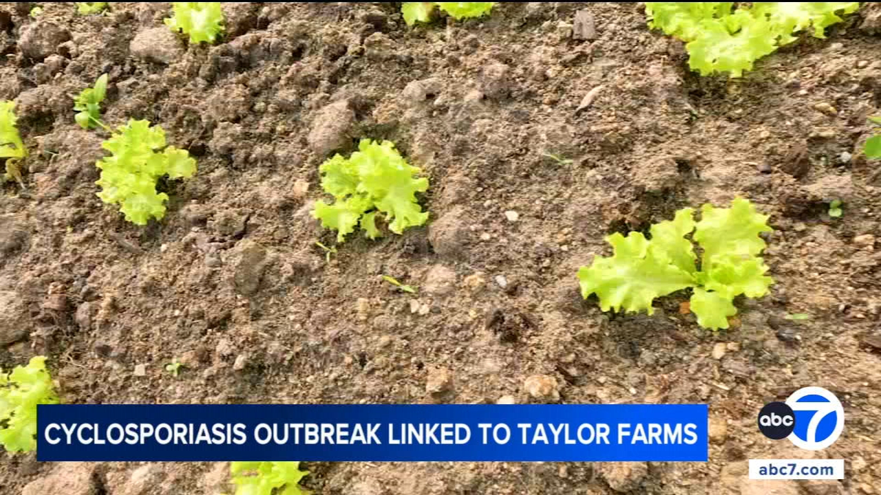 Cyclosporiasis outbreak: Taylor Farms recalling all central Mexico iceberg lettuce from US market