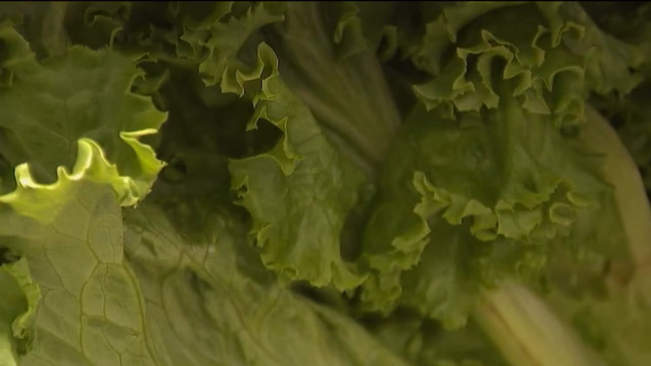 Cyclospora outbreak: Symptoms, food Risks and how to Protect Yourself