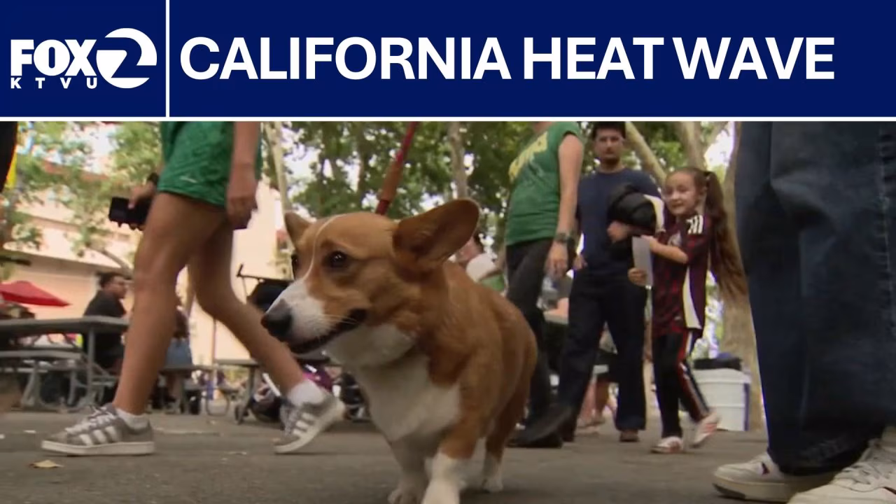Beating the heat at Alameda County Fair