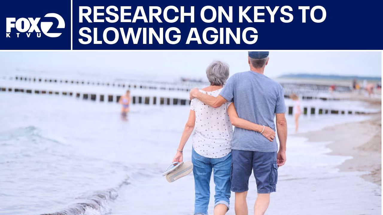 Key to slow aging unlocked by Stanford researchers