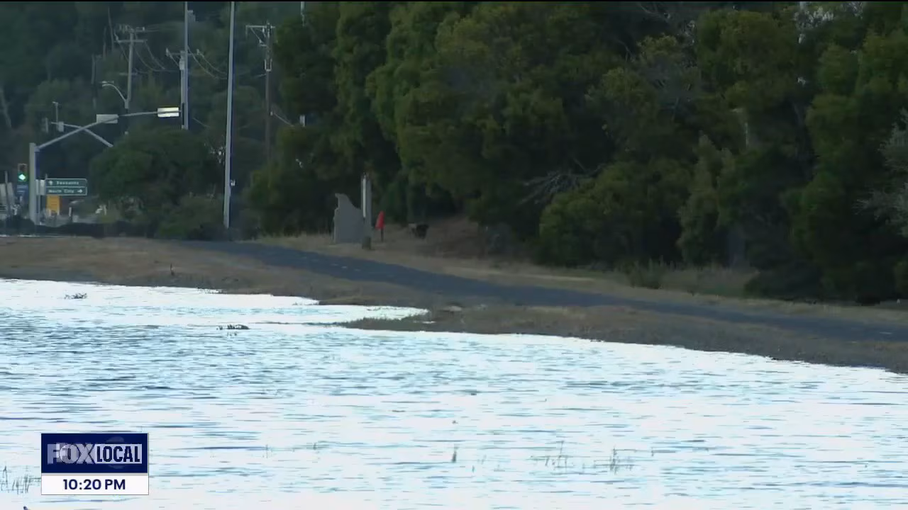 King tides bring high water levels to Larkspur, sparking sea level rise concerns