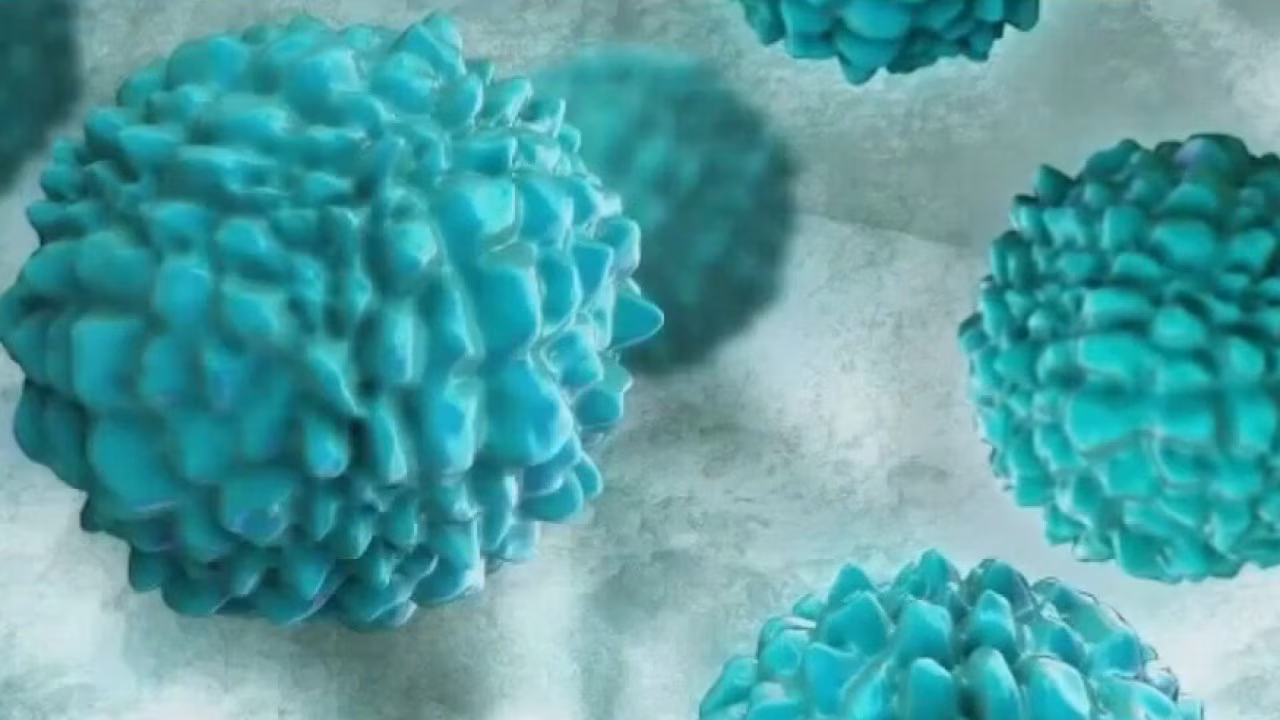 What to know about the Cyclosporiasis outbreak and its reach in California