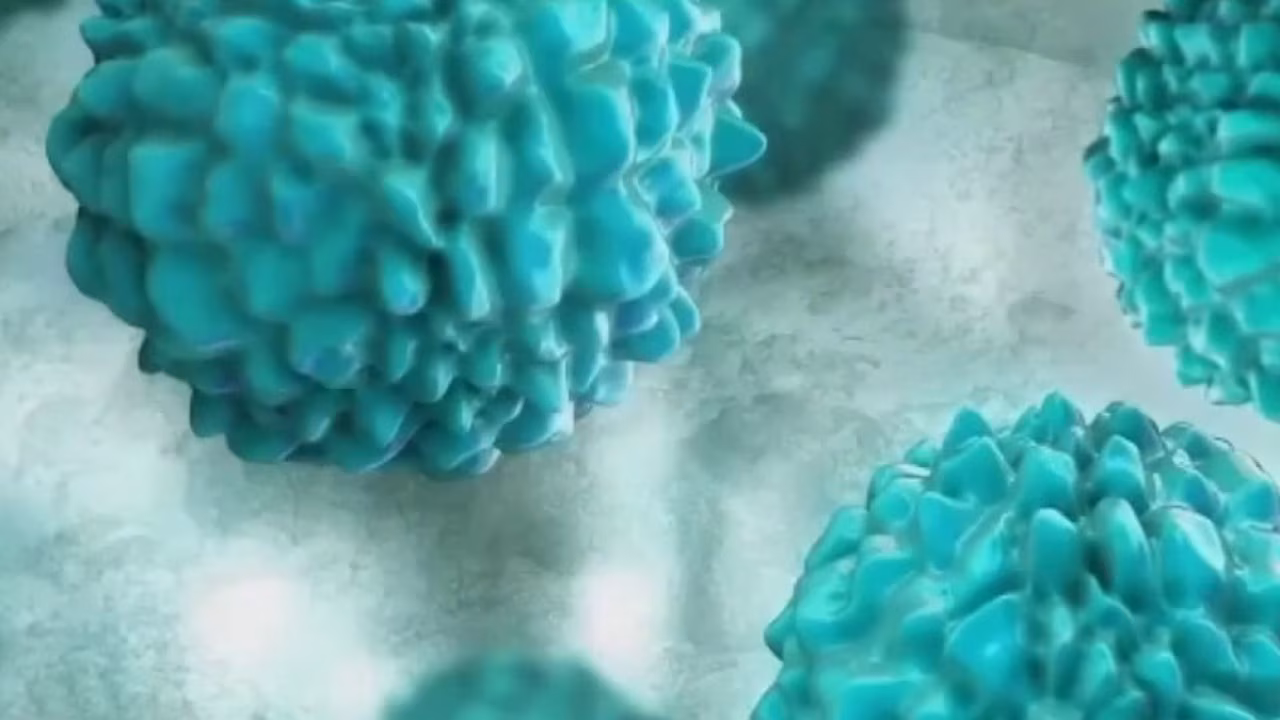 Parasite causing major stomach symptoms