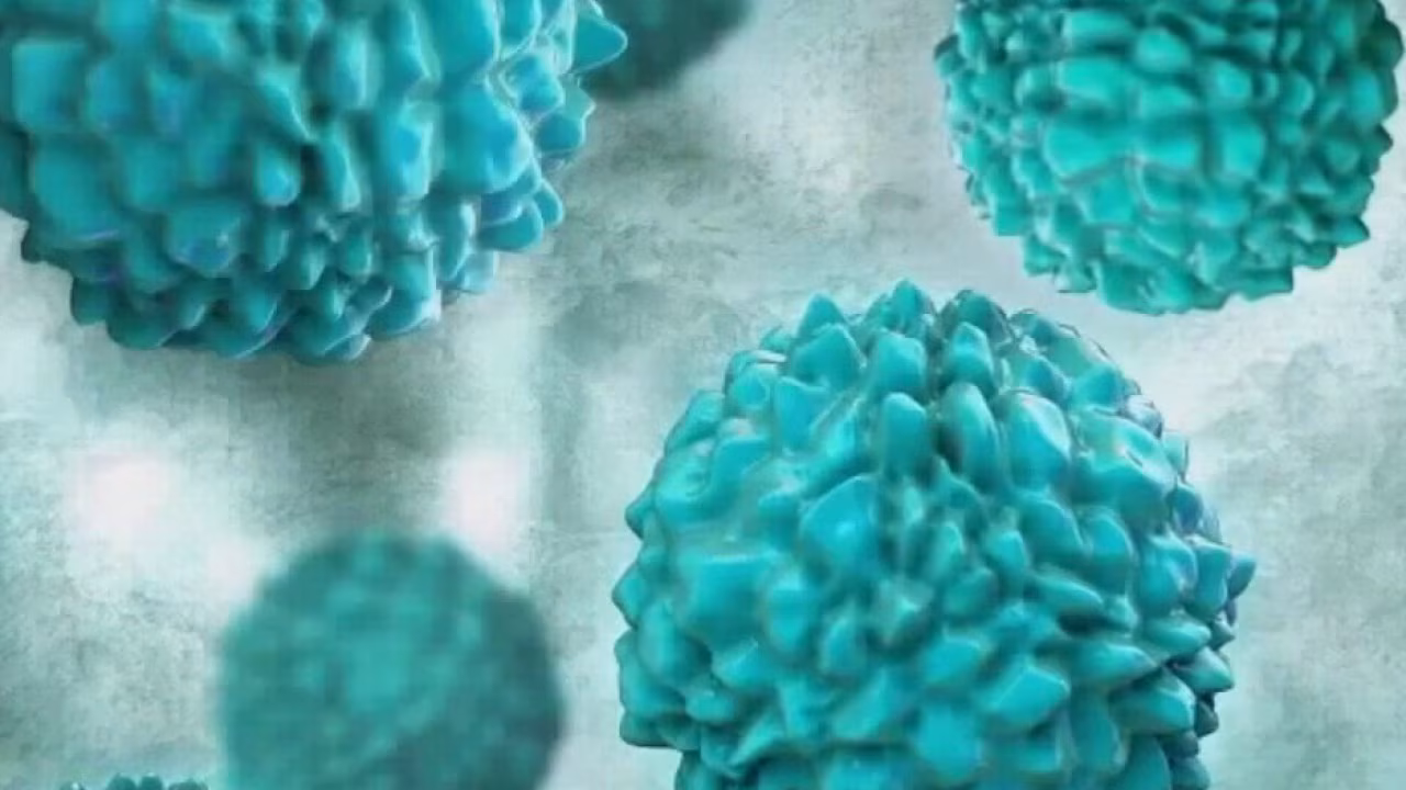 Cyclosporiasis has come to California, but is it contagious?