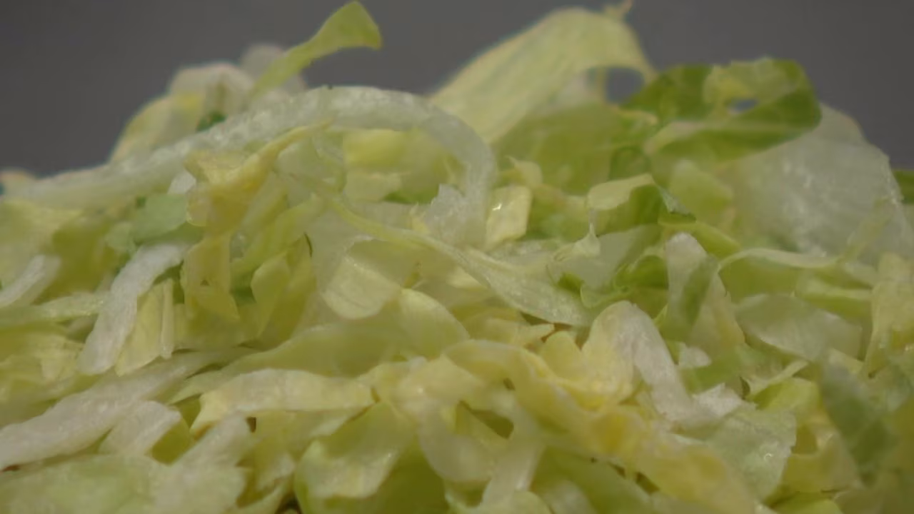 Taylor Farms pulls iceberg lettuce amid cyclospora outbreak